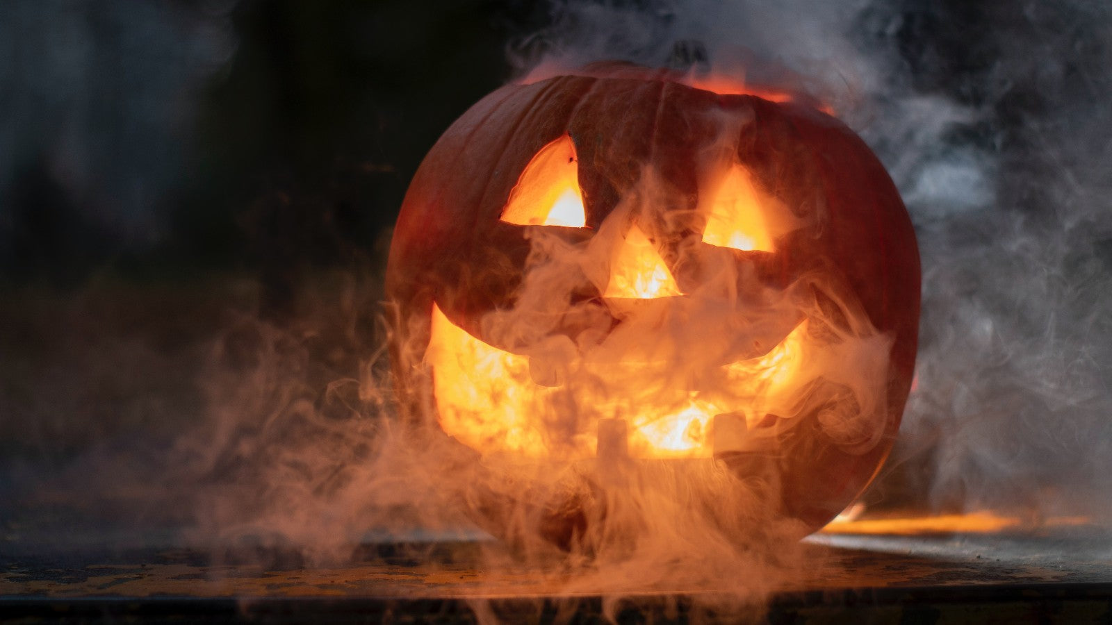 5 Easy Ways to Dress Up Your Pup on Halloween