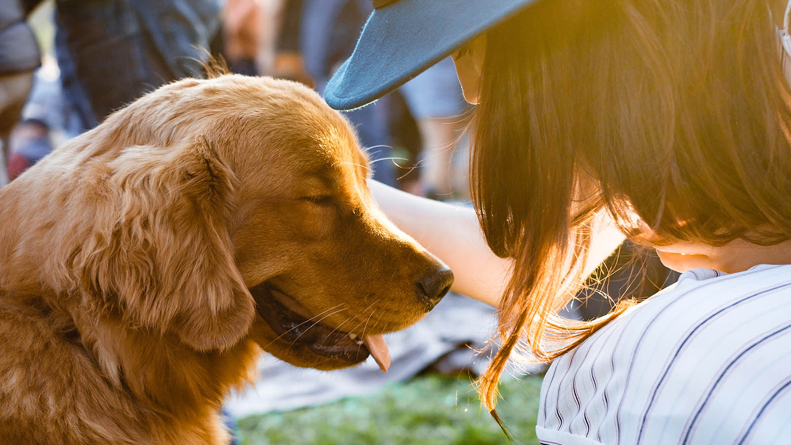 Fun Ways To Celebrate National Pet Week With Your Dog