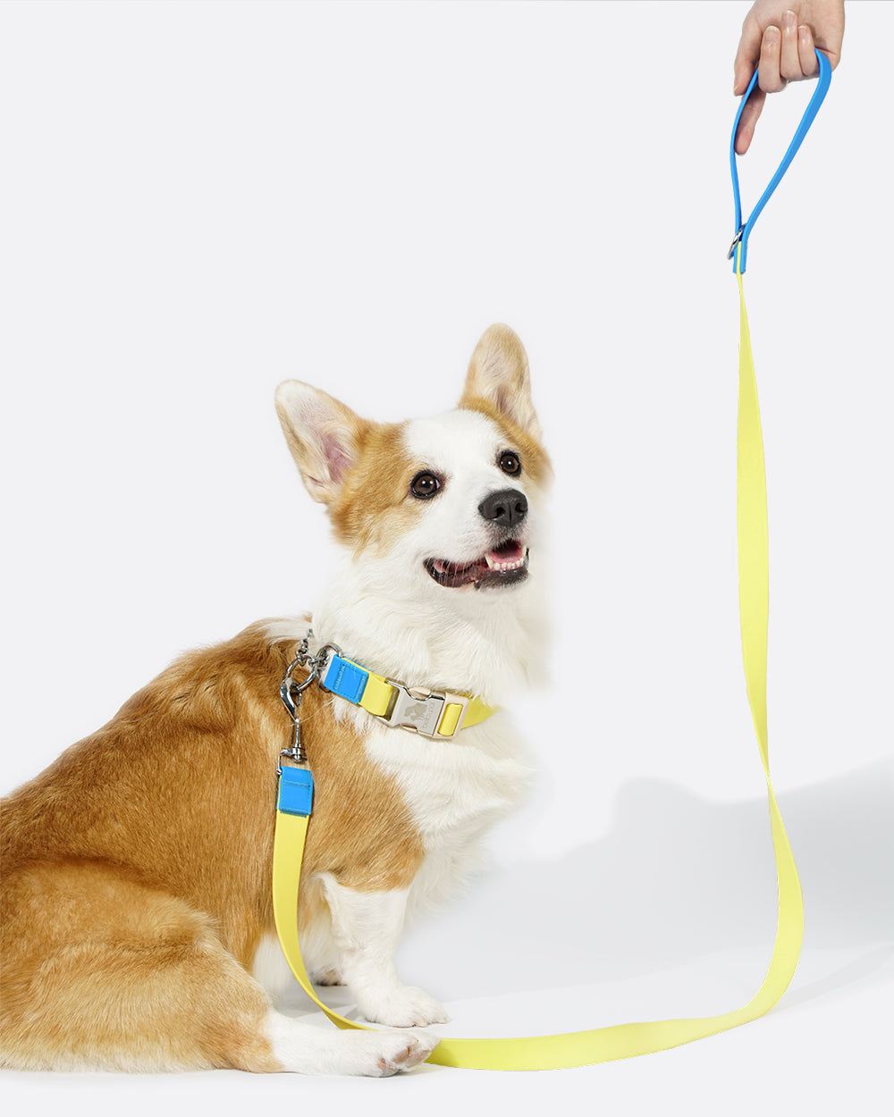 Aqua PVC 防水 Martingale 項圈牽引繩套裝 - Mini Yellow