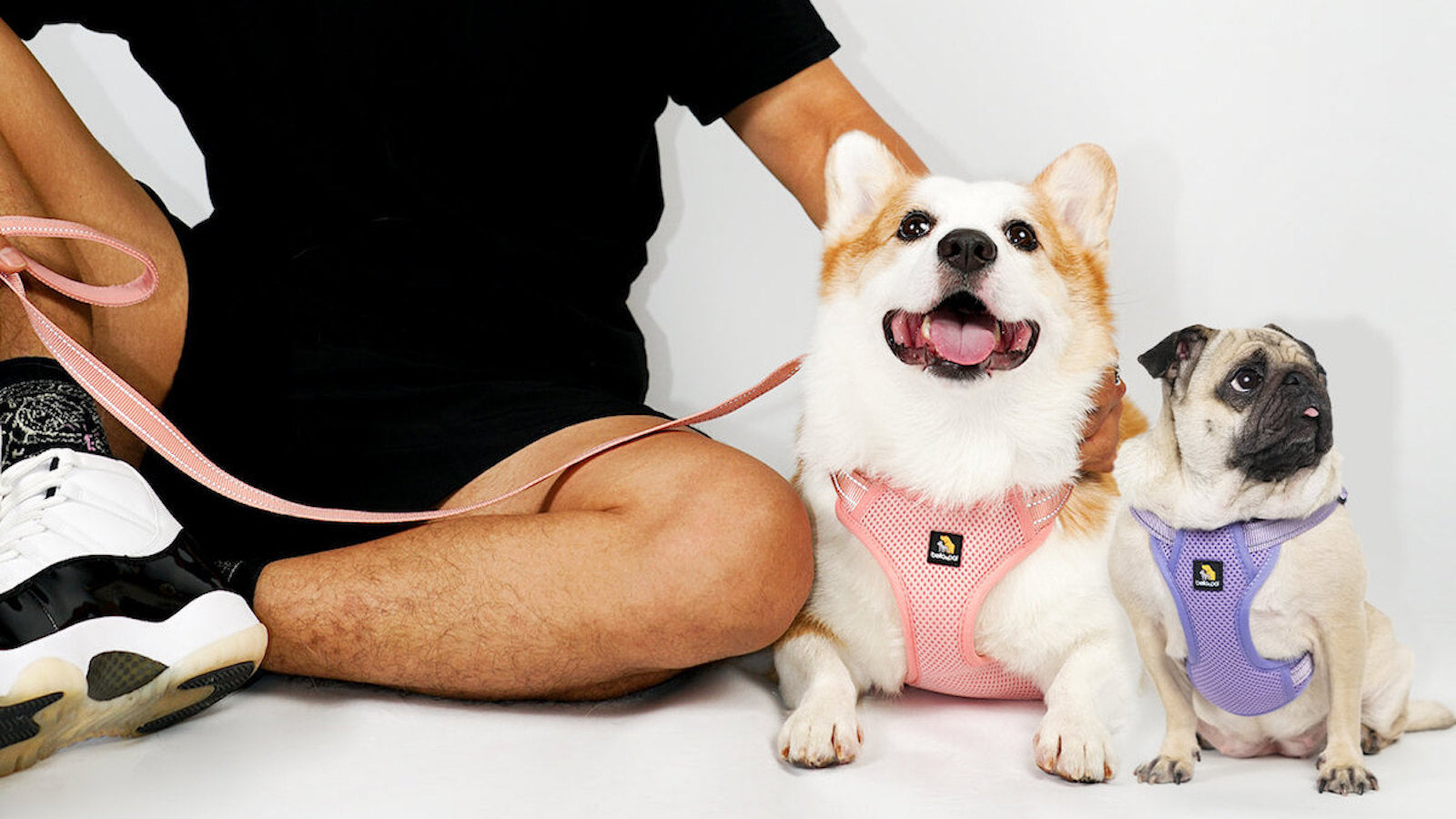 Find the Pawfect Harness for Your Pet: Discover Bella & Pal’s OxyMesh Flexi Harness