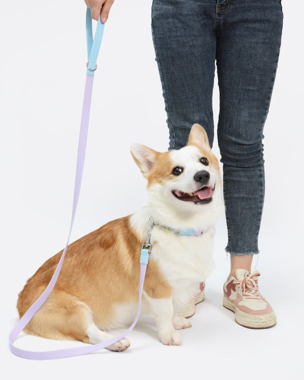 Aqua PVC Waterproof Dog Leash - Lavender Blue