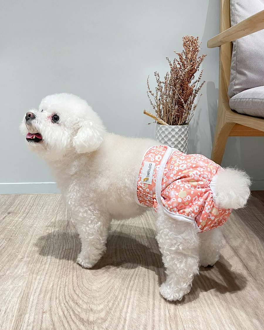 Washable Female Dog Diaper - Garden Bloom