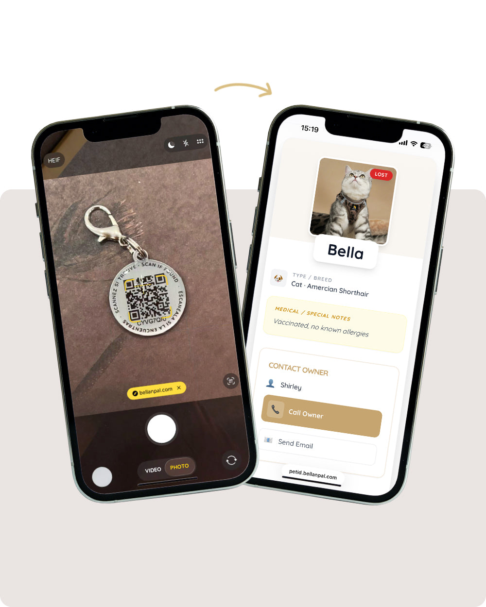 Digital Pet ID Tag with QR Code