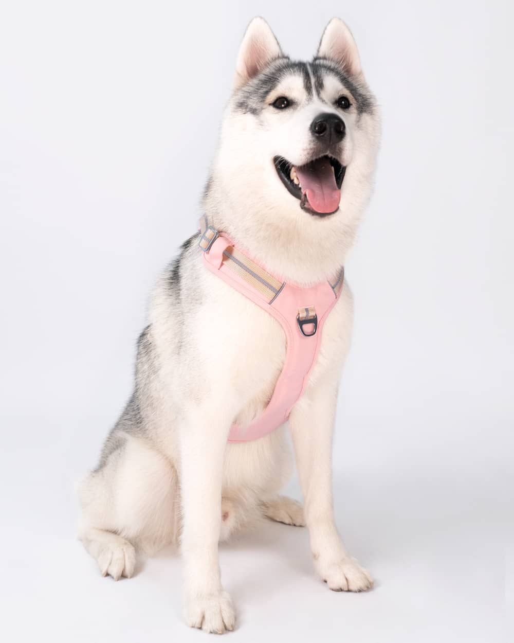 Motion Pro 引っ張らない犬用ハーネス - クリスタルピンク