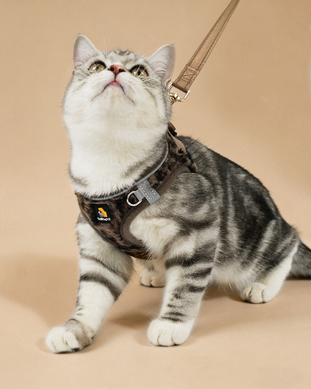 OxyMesh 透氣胸背帶連牽繩套裝 - 野棕豹紋