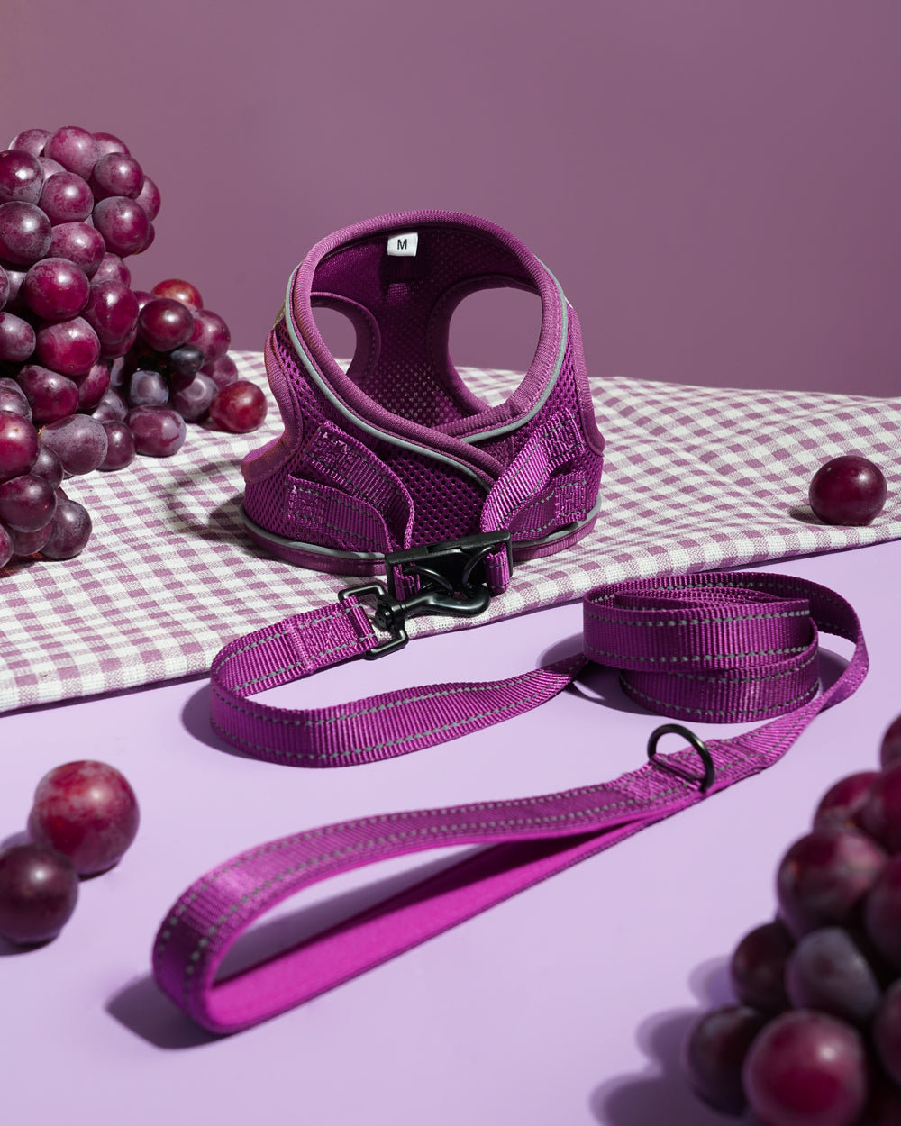 OxyMesh Velcro Step-in Harness and Leash Set - Grape