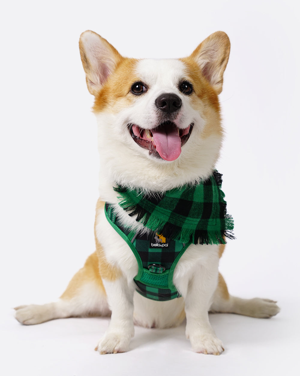 Smart Pro 聖誕狗胸背帶套裝 - 蘇格蘭風格綠格