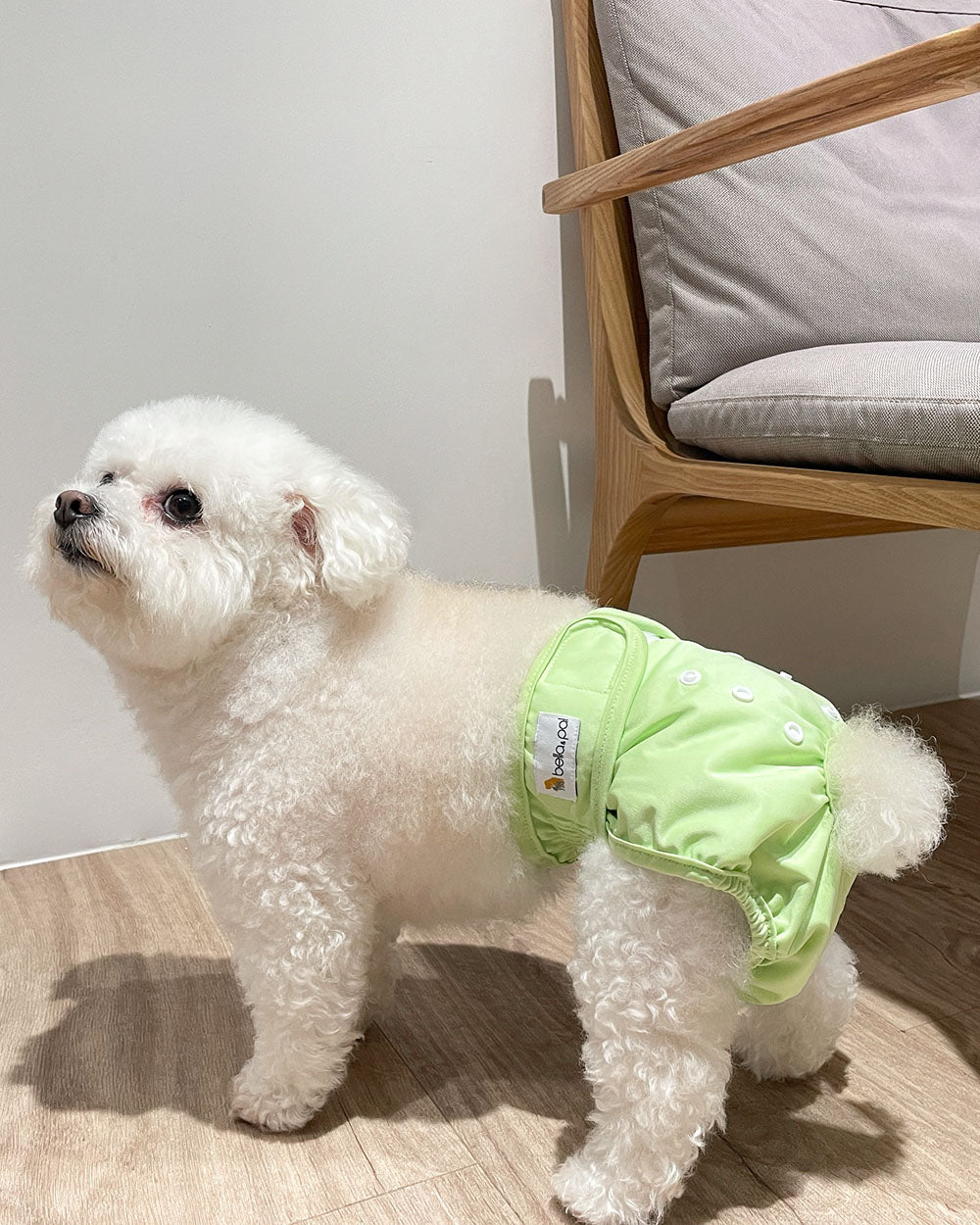 Washable Female Dog Diaper - Lime Green