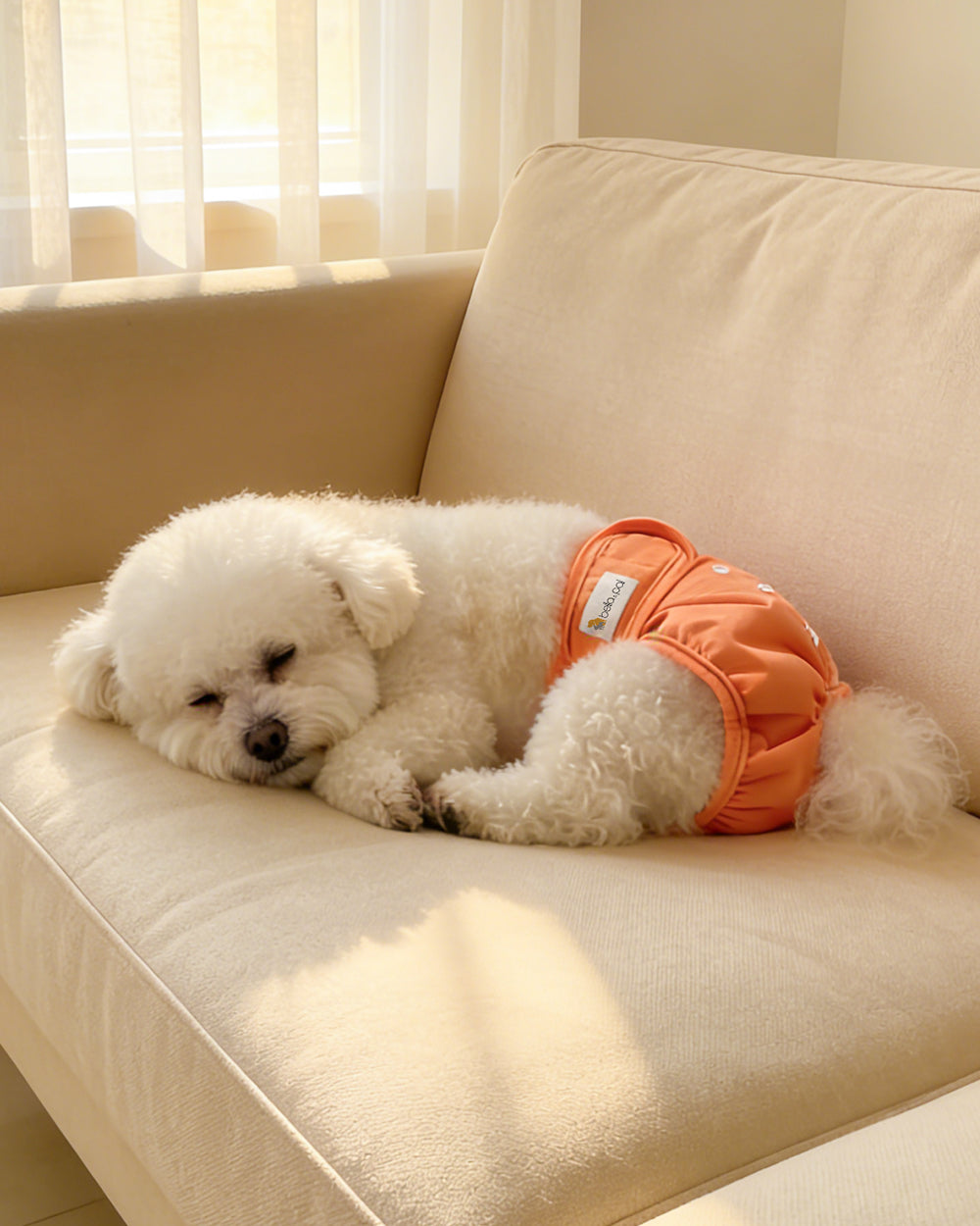 Washable Female Dog Diaper - Orange Pop