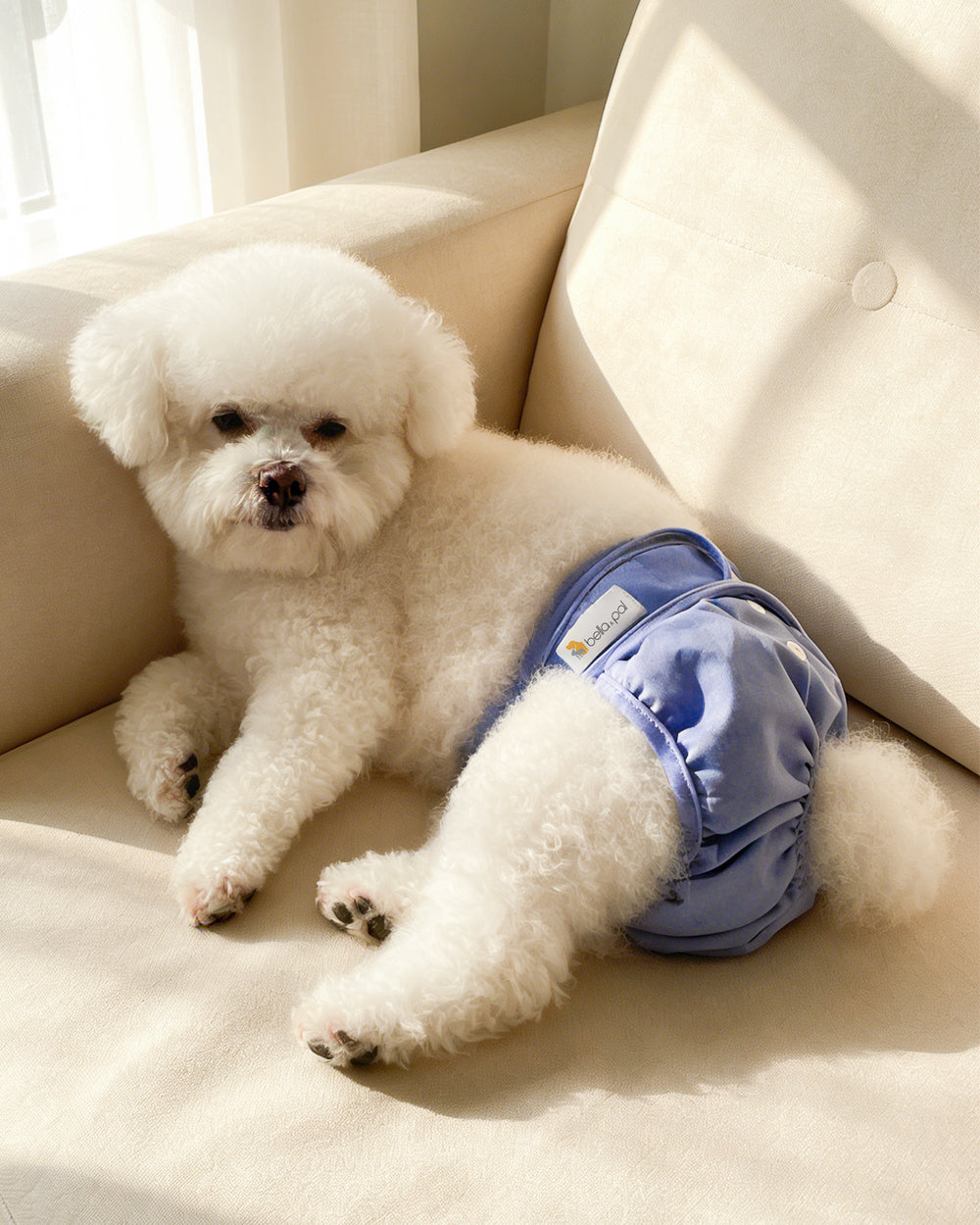 Washable Female Dog Diaper - Berry Blue