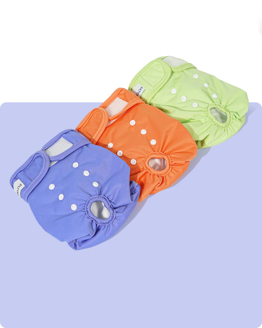 Washable Female Dog Diapers with Snaps - 3 Pack