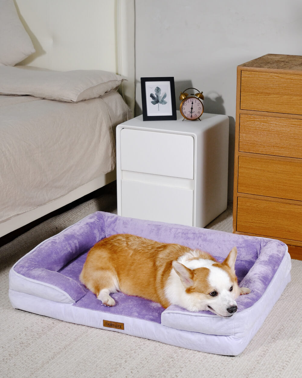 矯正用犬用ベッド - Lavender Luxe