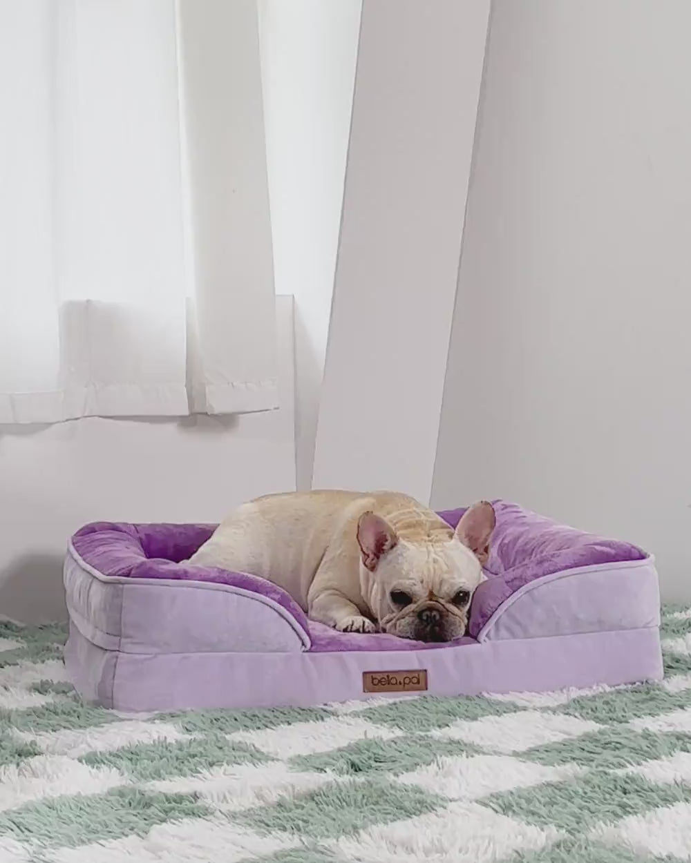 矯正用犬用ベッド - Lavender Luxe