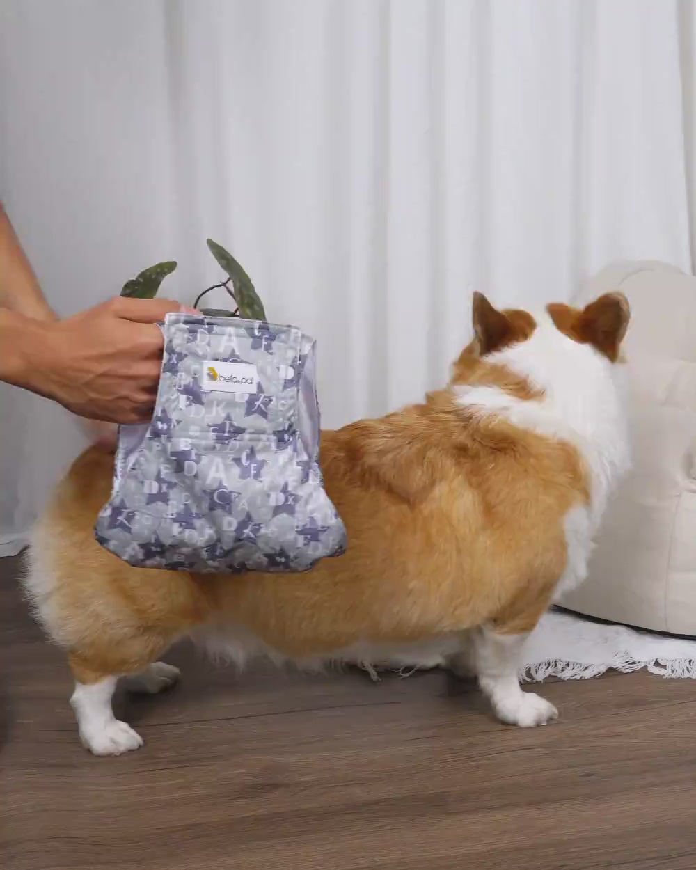 Bella & Pal × PJai & Friends Washable Male Dog Belly Band - Fuzzy Friends