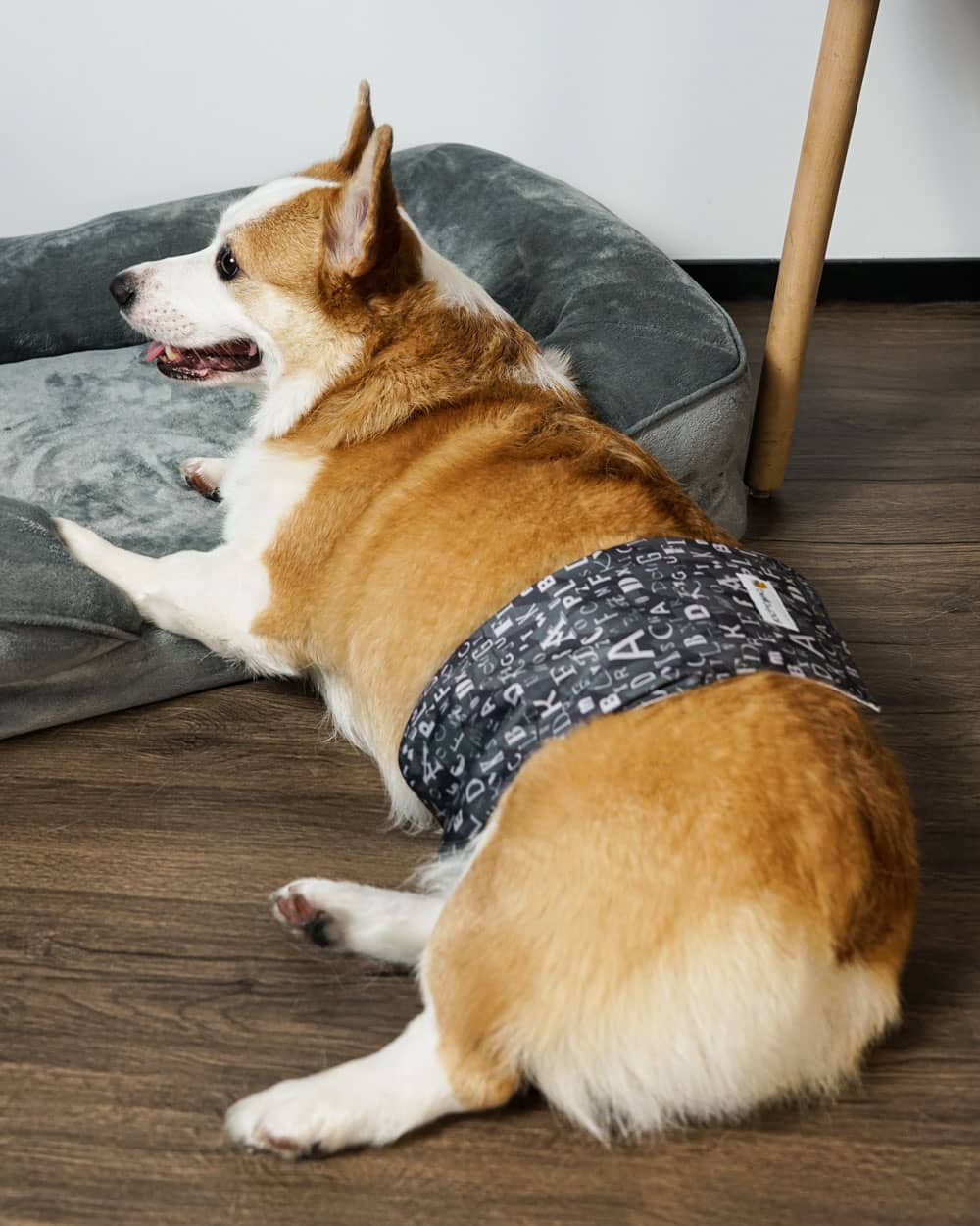 Washable Male Dog Belly Band - Dark Alphabet