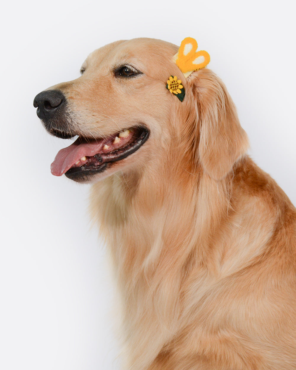 Dog Snap Hair Clips - Pastorale