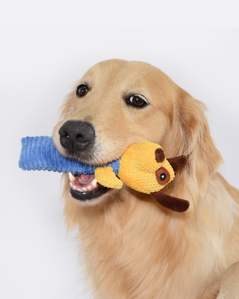 Plush Squeaky Dog Toy - Puppy