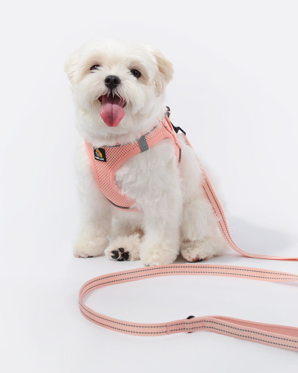 OxyMesh Velcro Step-in Harness and Leash Set - Coral Pink