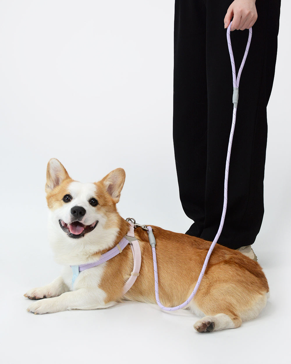 Soft Move Light Step-in Harness and Leash Set - Aurora