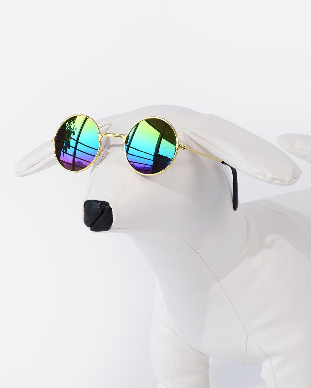 Tinted Lens Dog Glasses - Rainbow
